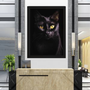 "Olhar Enigmático: A Presença do Gato Negro"