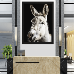 "Serenidade em Preto e Branco: O Olhar do Burro"